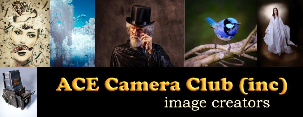 ACE Camera Club (inc)