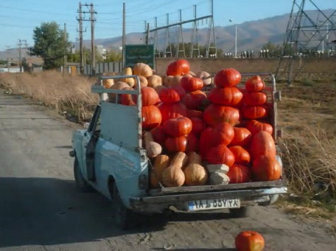 paykan-overload-pumpkin.jpg