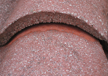 Roof Tile