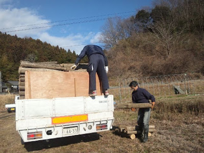 しいたけの原木