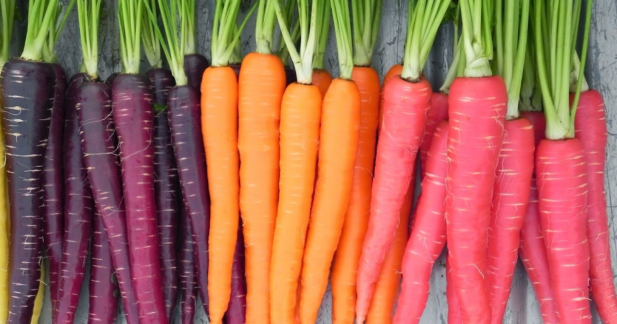 Running on carbs Carrots and Hiccups