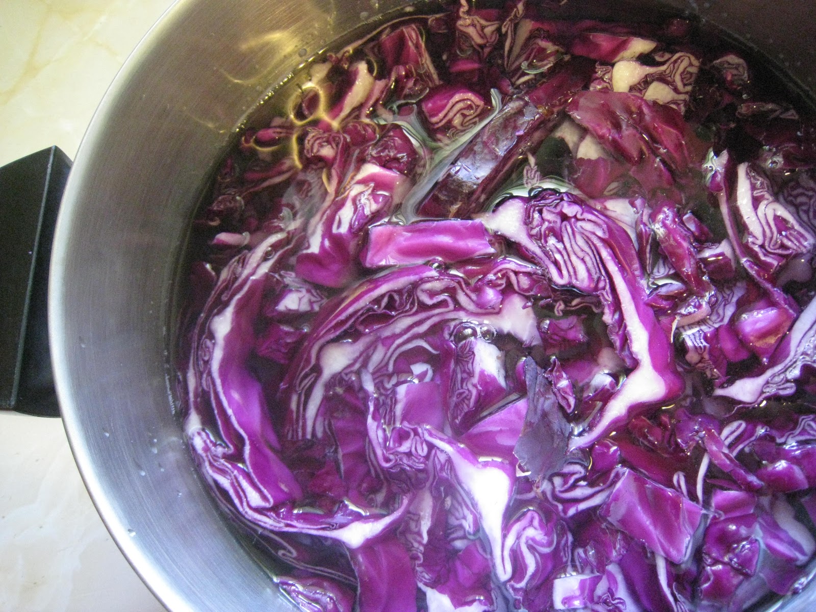 Cabbage Juice Science Experiment Teach Beside Me