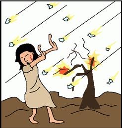 הצג את תמונת המקור