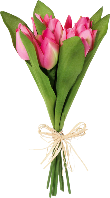 1685814.png (430×768) | Bouquet, Tulip bouquet, Flowers