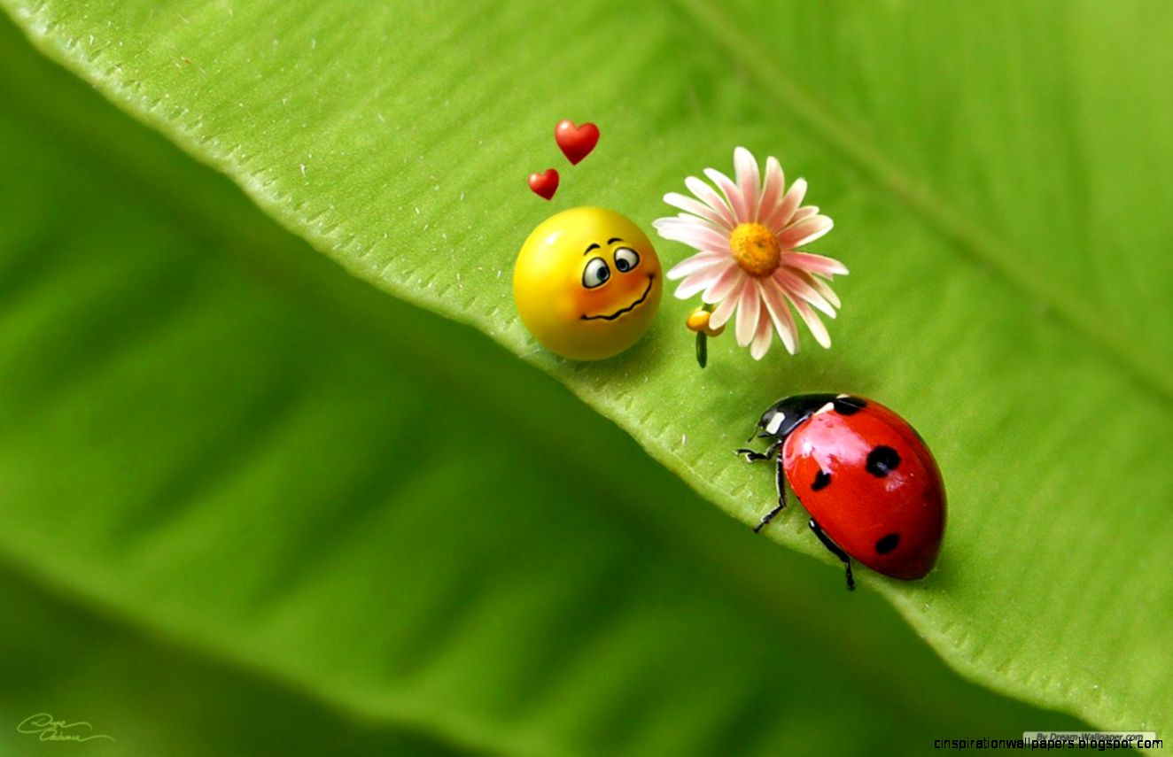 Free 3D Desktop Wallpaper Desktop Backgrounds Free 3D Desktop Wallpaper Desktop Backgrounds