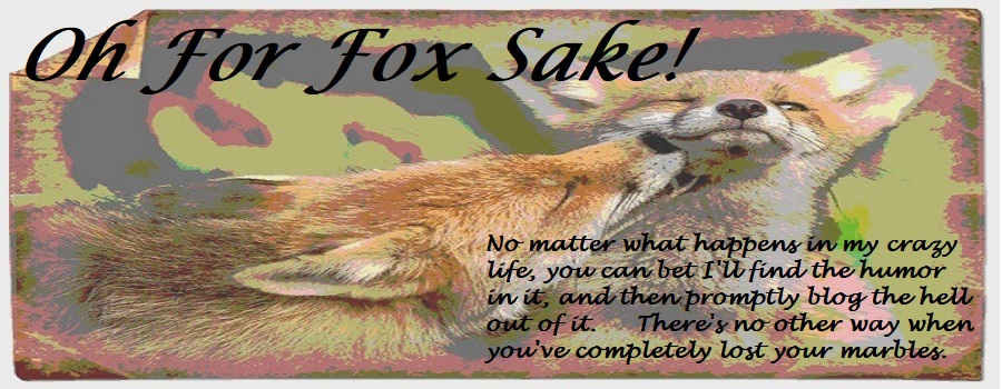OH FOR FOX SAKE!