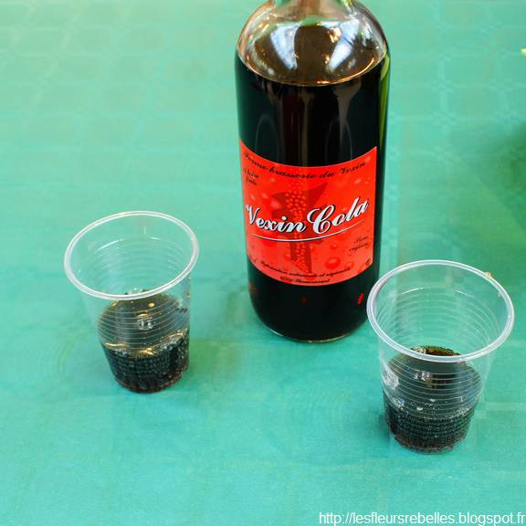 Soda Vexin Cola