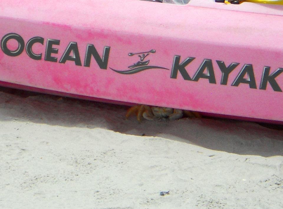 Go Outside Girl Kayaking the coast Topsail Island, NC