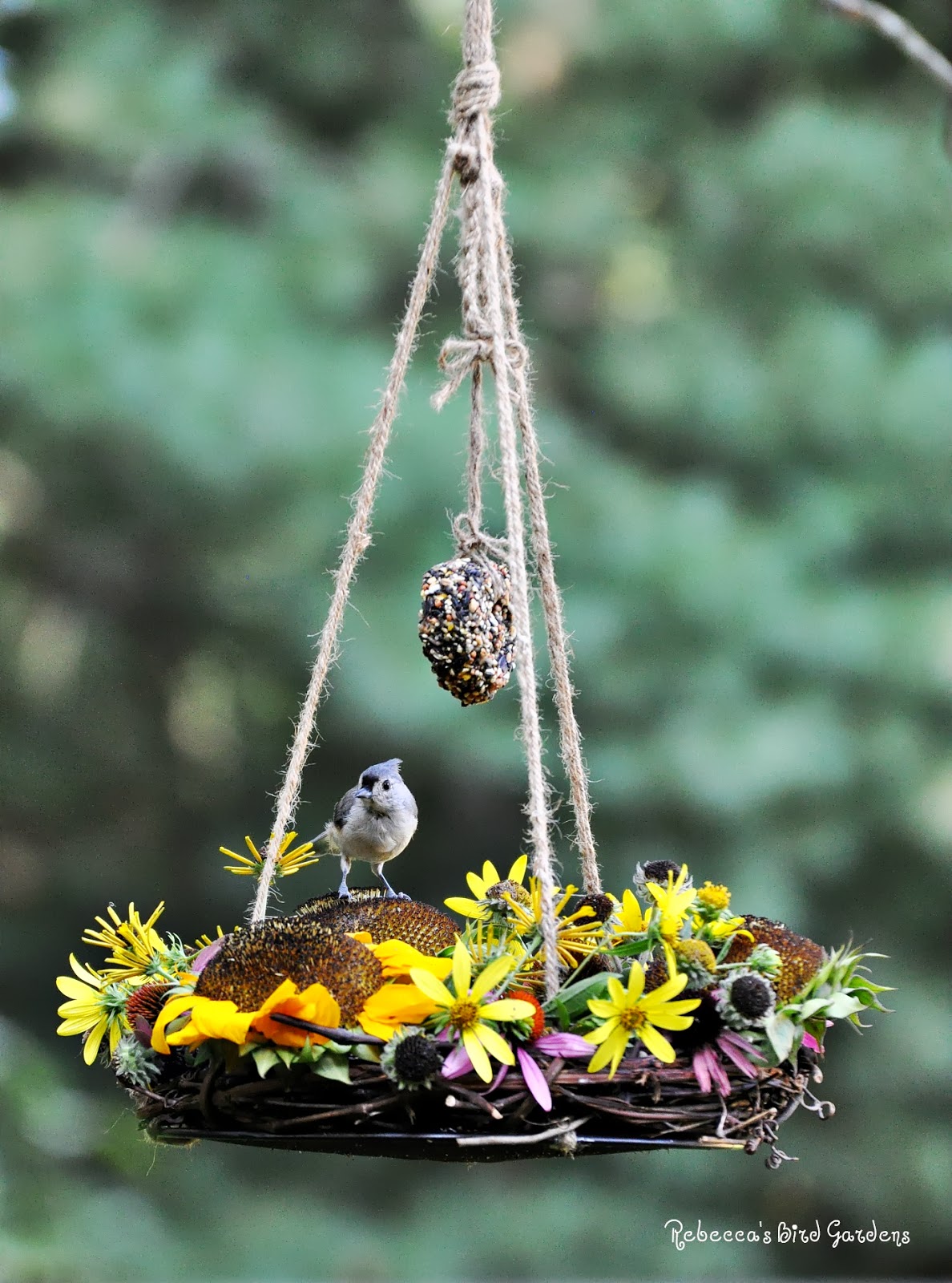 Rebecca's Bird Gardens Blog DIY Summer Wreath BirdFeeder