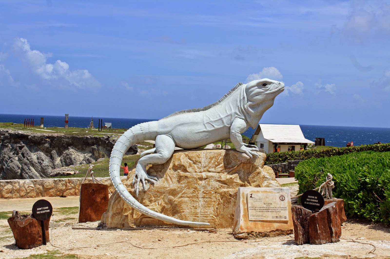 Isla Mujeres Magazine Iguanas! By Lynda Lock & Rob Herrin