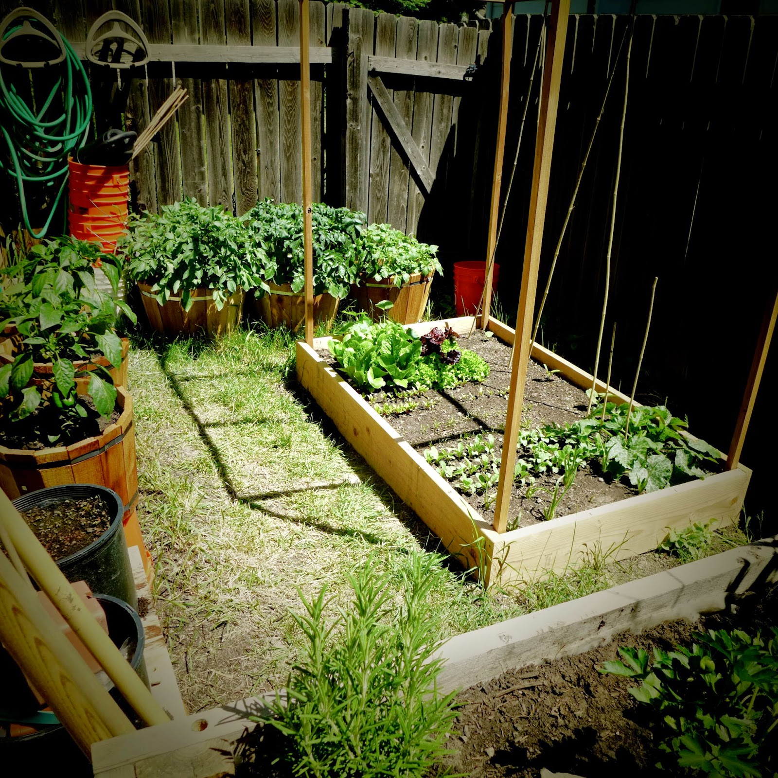 l agriculture traditionnelle