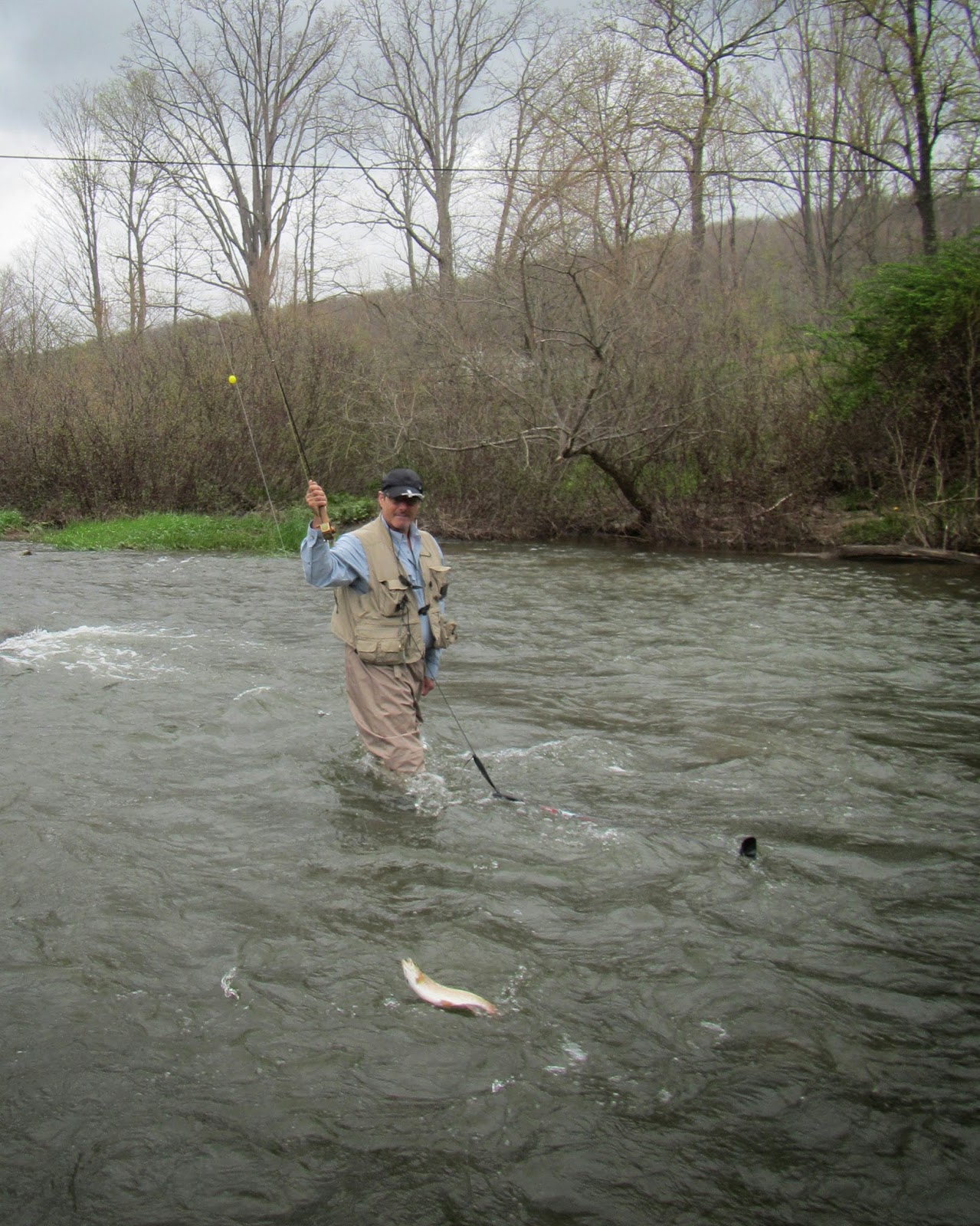 Western Maryland Fly Fishing Fishing between the Rain storms on the