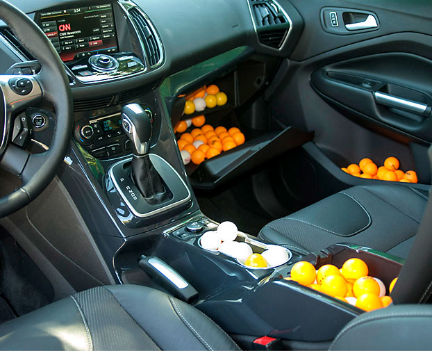 Table Tennis Bug November 2012