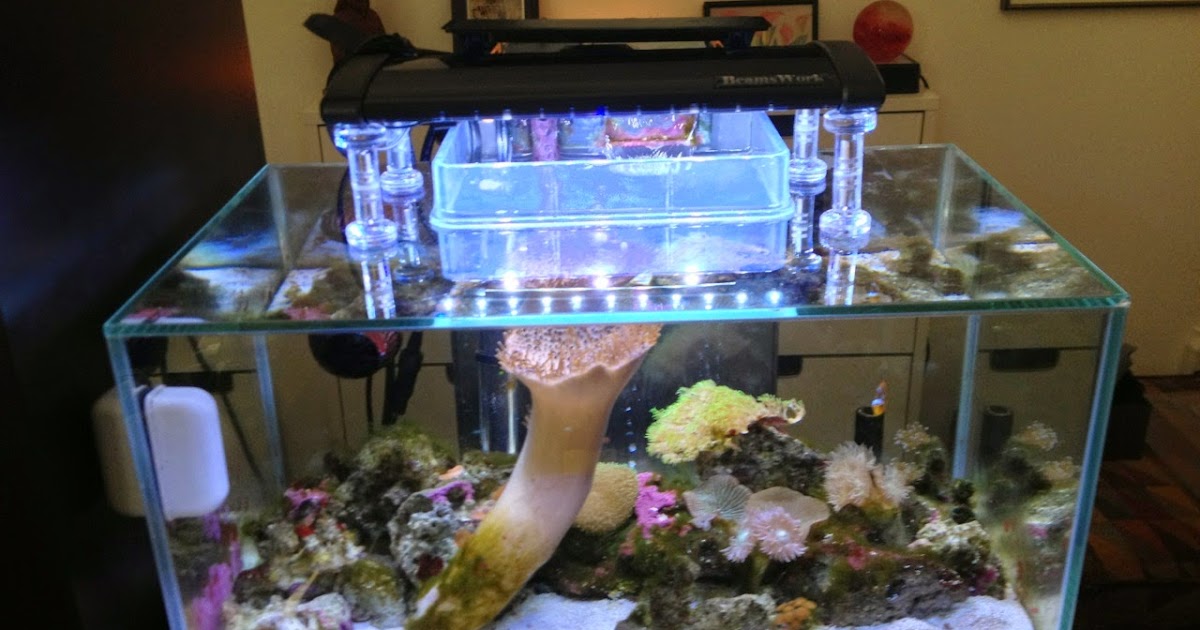 GuppyGuide Aquarium Light Stand DIY