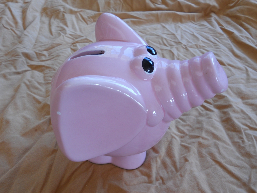 Snacking Squirrel Breaking Open the Piggy Bank