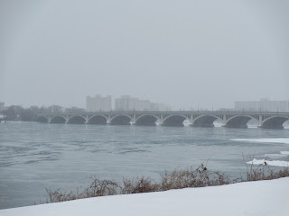 Detroit River and Belle Isle Bridge (MacArthur Bridge) 2014