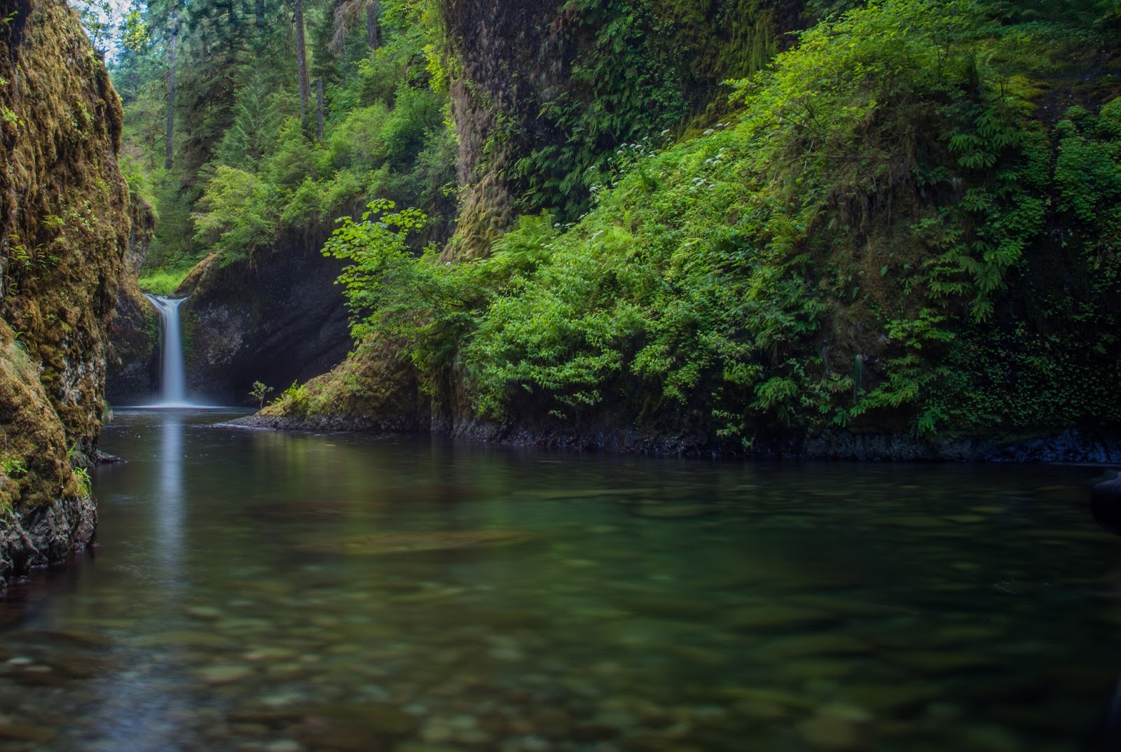 CHIMERAS Waterscapes