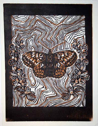 Uncompahgre Fritillary Butterfly