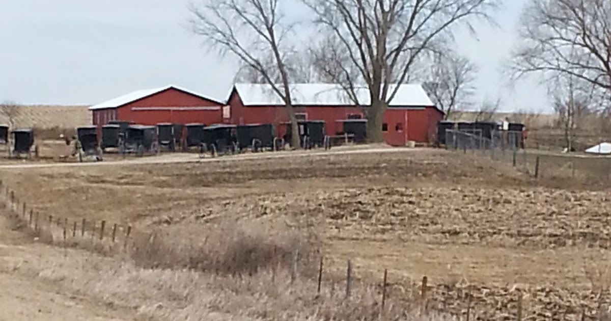 OLD Crow Antiques and Amish Tours Harmony / Canton Minnesota Home of