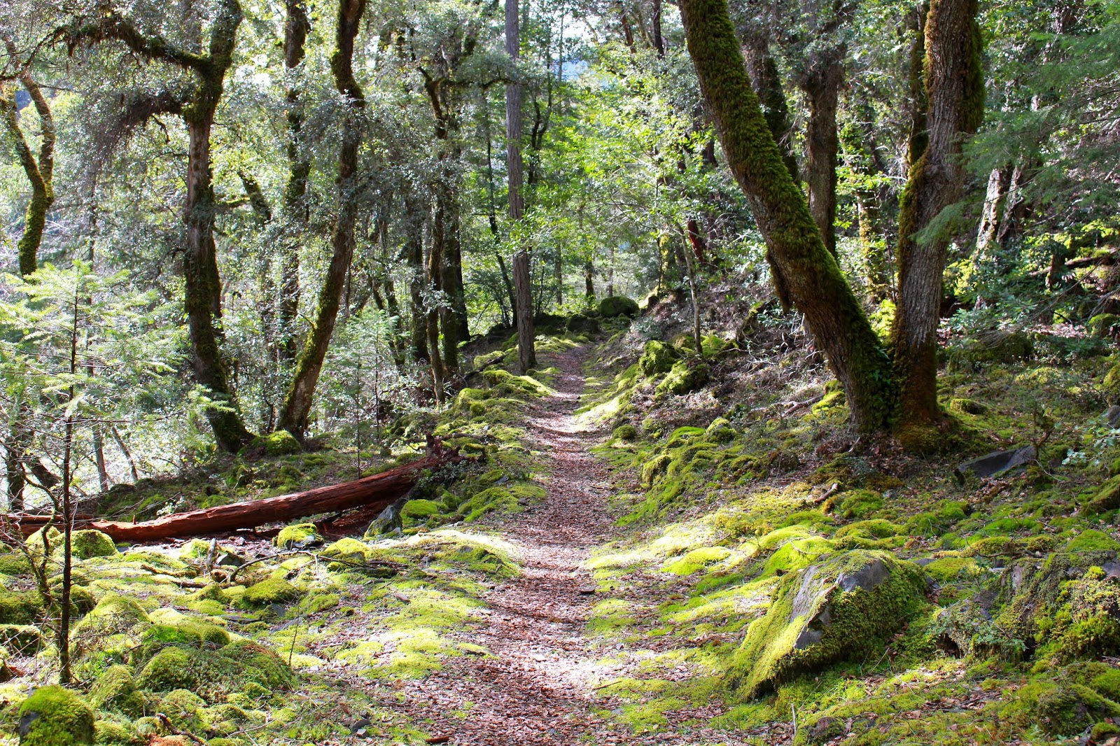 Richard Hikes Rogue River Trail Via Whiskey Creek