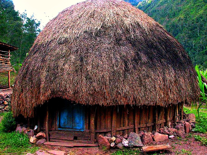 Wisata PapuaQ: Honai "Rumah Khas" - Papua