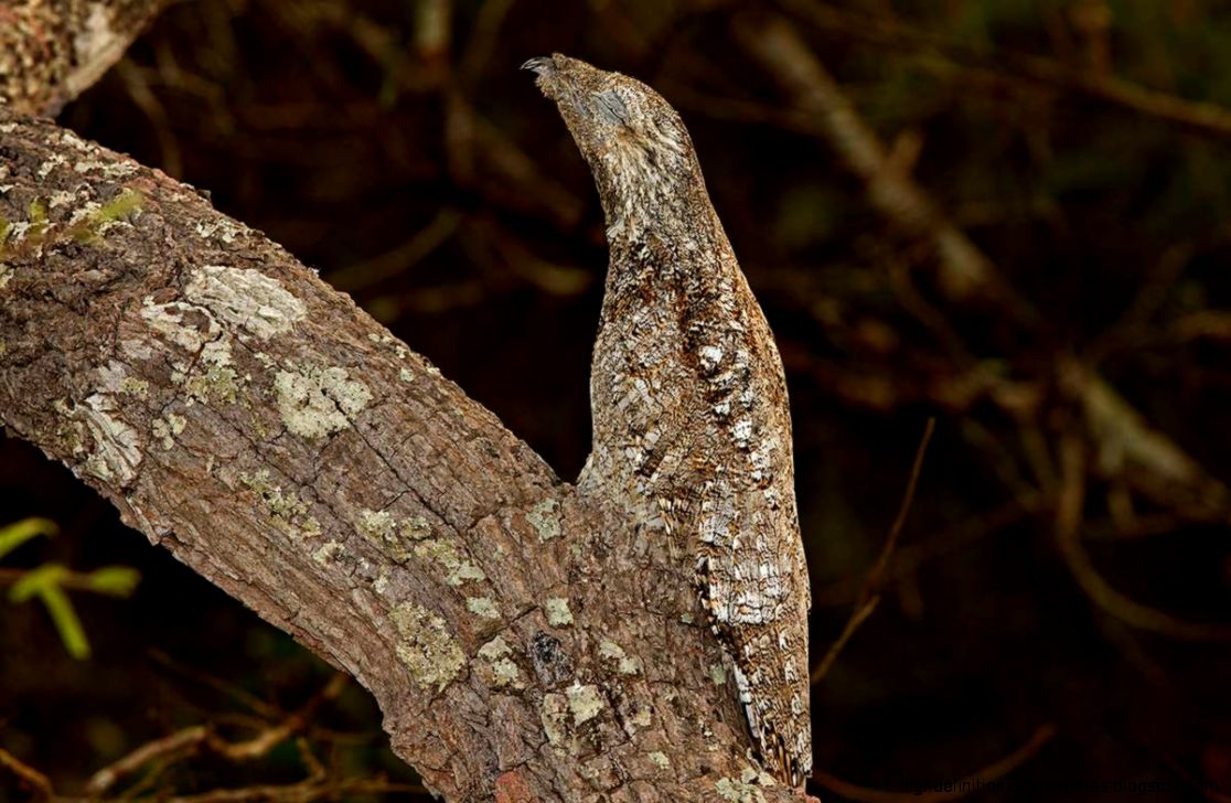 Page 38 › Free Download High Definition Wallpapers For Desktop and Page 38 › Free Download High Definition Wallpapers For Desktop and