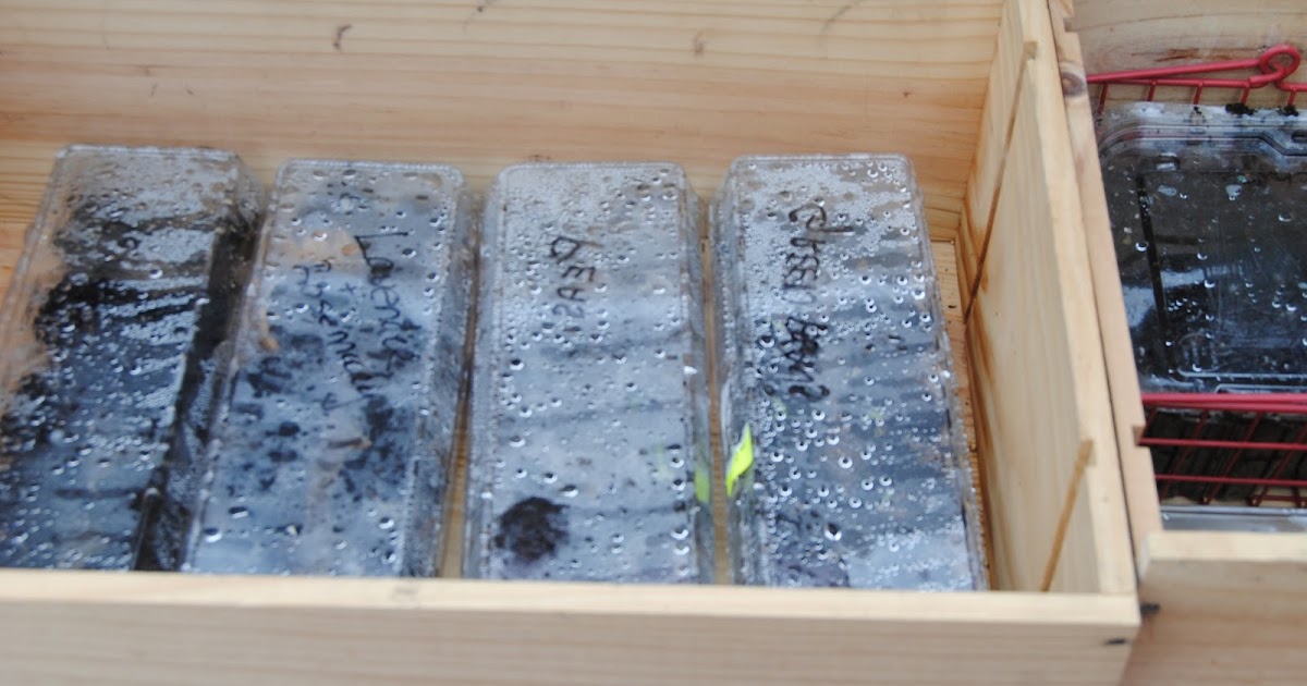 HeyDay Living A Wine Garden!?