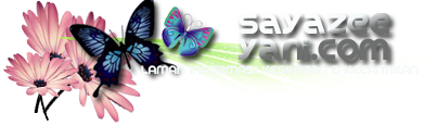Sayazeeyani.com