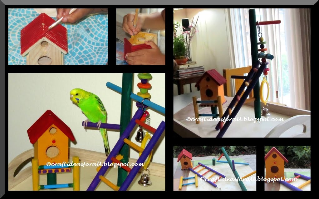 Craft Ideas for all DIY Play Gym for Parakeet or similar birds