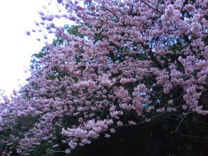 070225-4.jpg