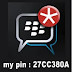 Cara Mengganti PIN BB (BlackBerry)