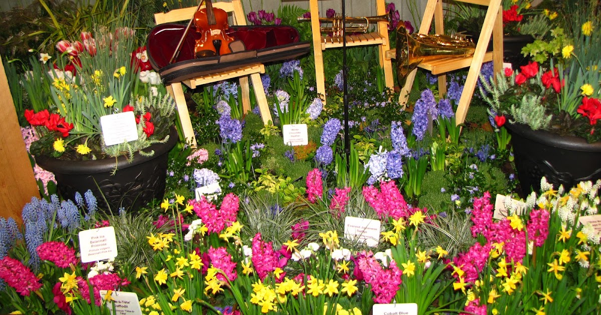 A Gardener in Progress: Our day at the Northwest Flower and Garden Show.