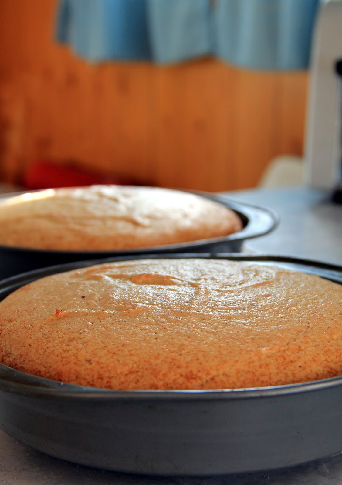 Jo and Sue Raisin Filled Spice Cake