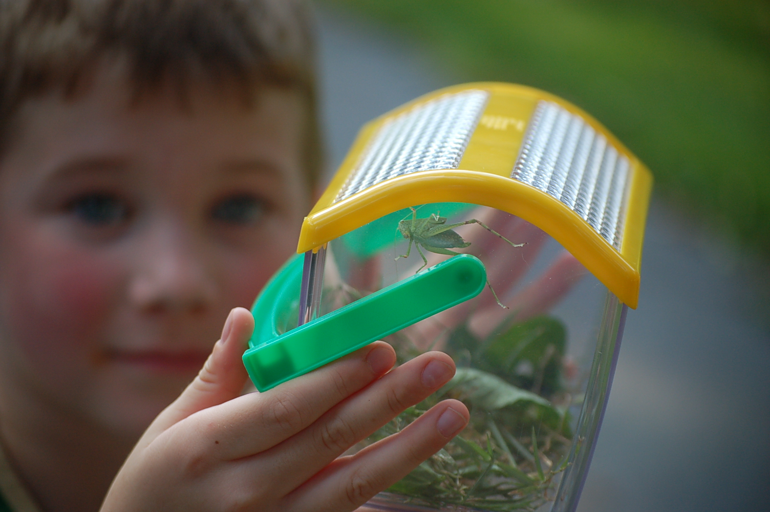 Dadncharge Hang On To Summer With A Backyard Safari