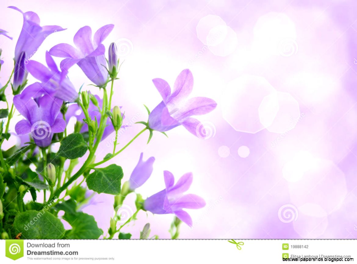 Purple Flower Background Stock Photography Image 19888142 Purple Flower Background Stock Photography Image 19888142