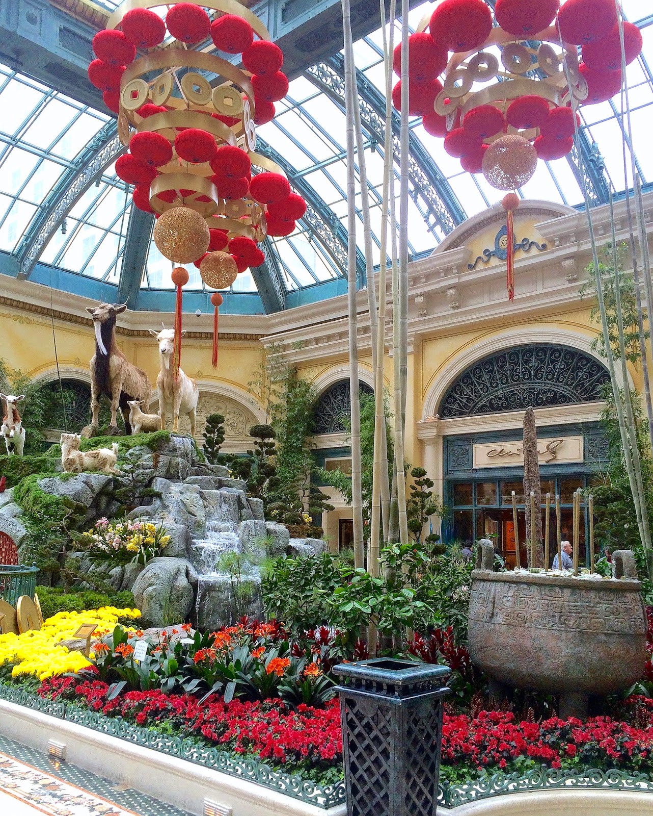Red House Garden: Winter Vacation! Flowers on the Las ...