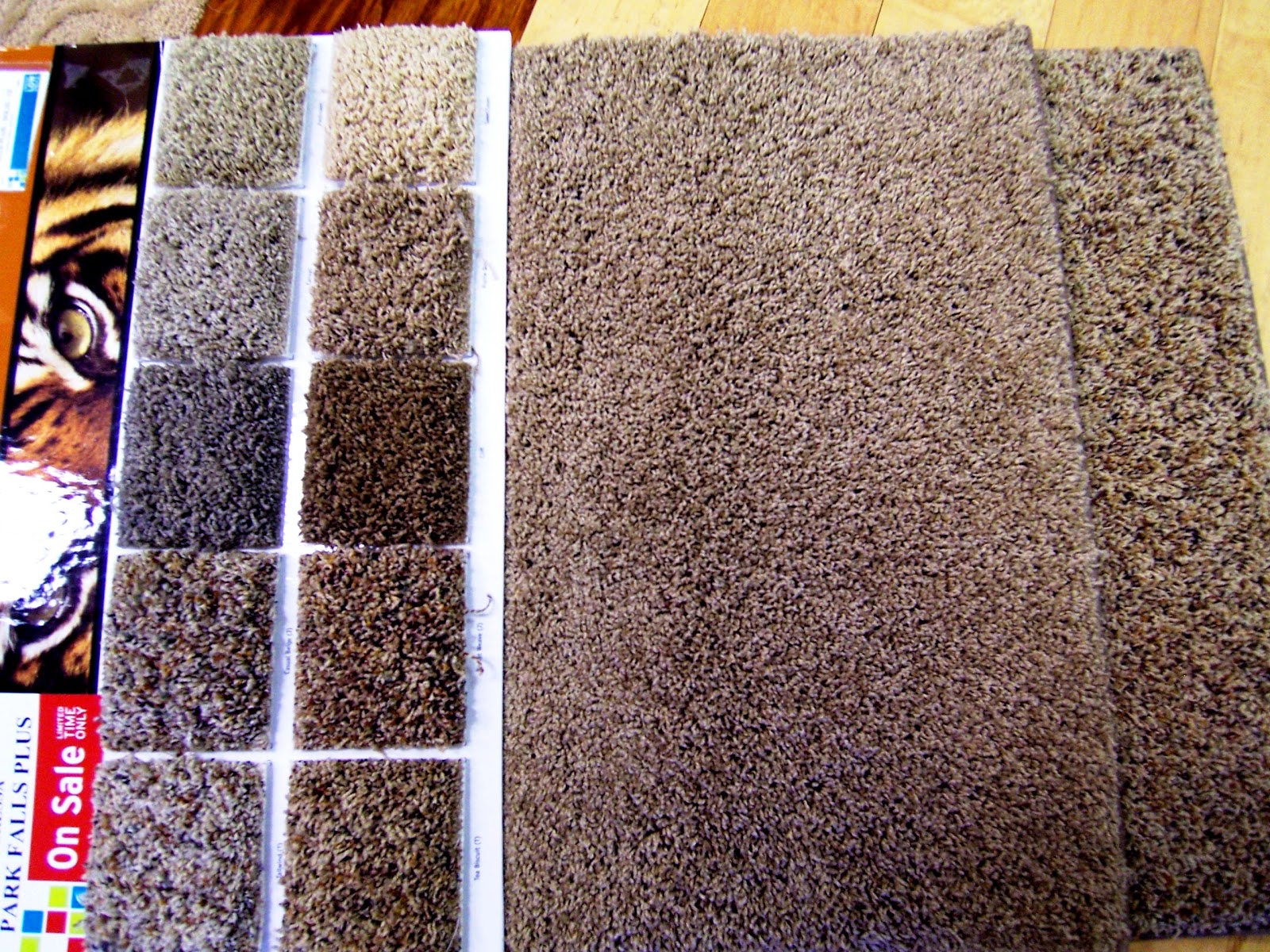 Tigressa H20 Carpet Carpet Vidalondon
