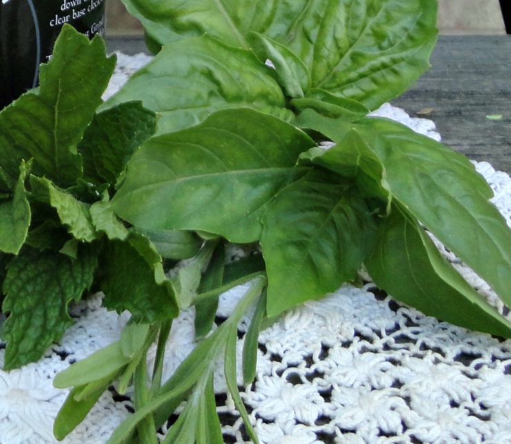 Natural Pest Control Safe for Chickens, Other Pets and People Fresh