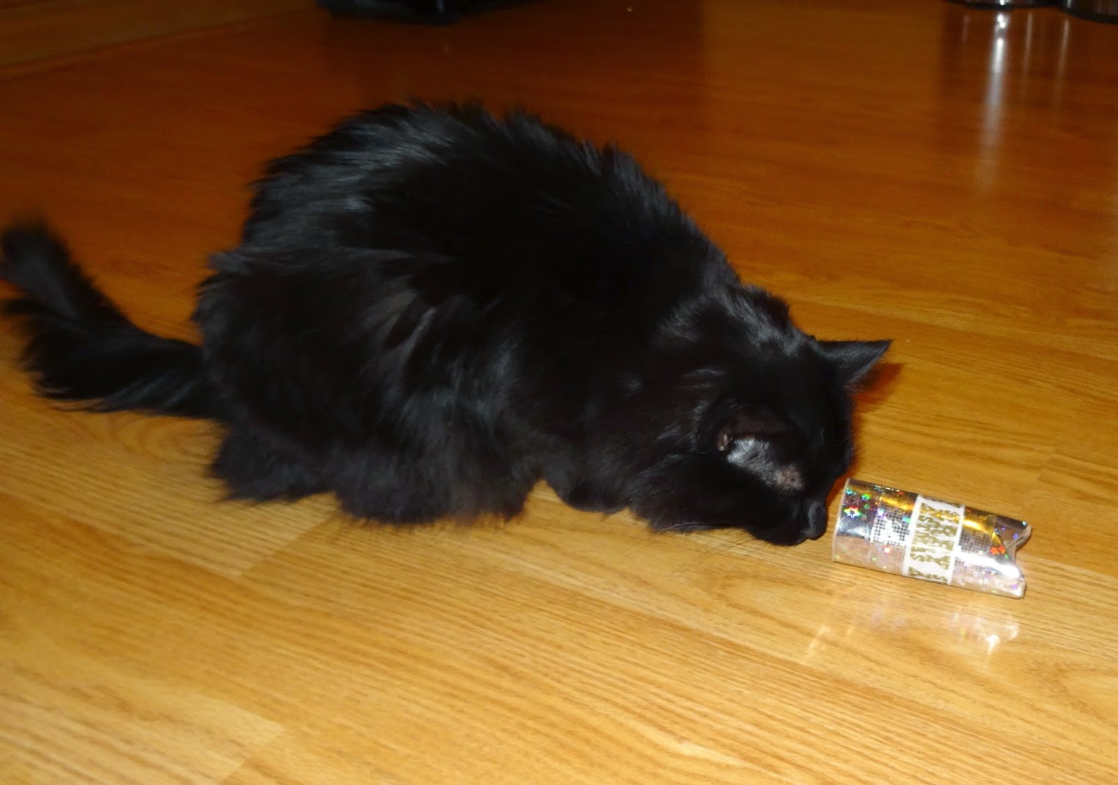 As the World Purrs Holiday Cat Enrichment Toys