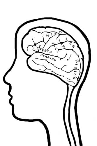 Brain Jack Image: Brain Coloring Pages