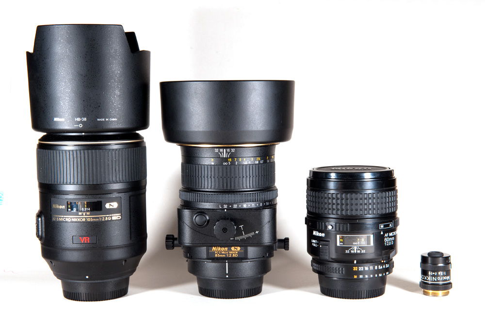 Lenses for Macro Photography XNZYZ Photography