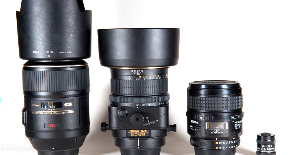 Lenses for Macro Photography XNZYZ Photography