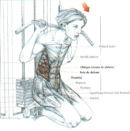 [Imagem: abdominal-com-polia-alta.jpg]