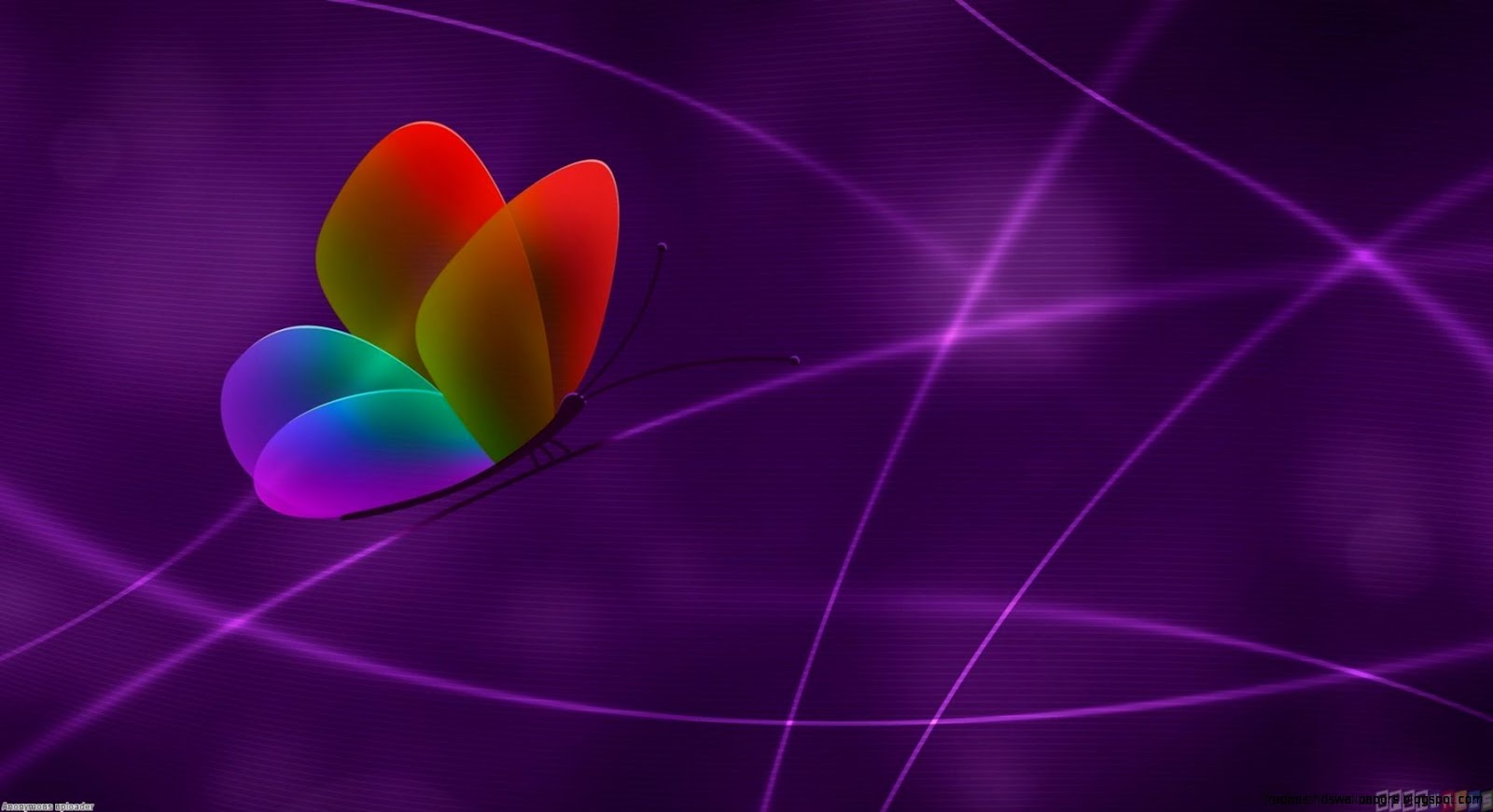 Colorful Desktop Butterflies Colorful Desktop Butterflies