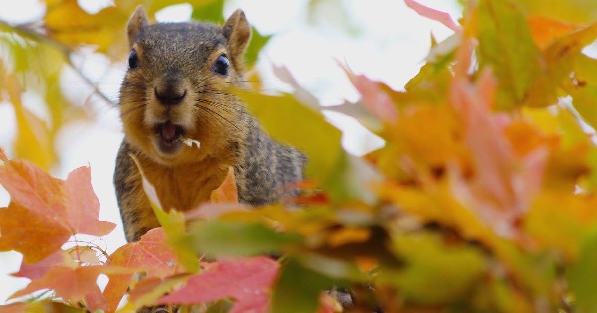 Sandhills Western Vacations Hunting and fishing friendly lodging for