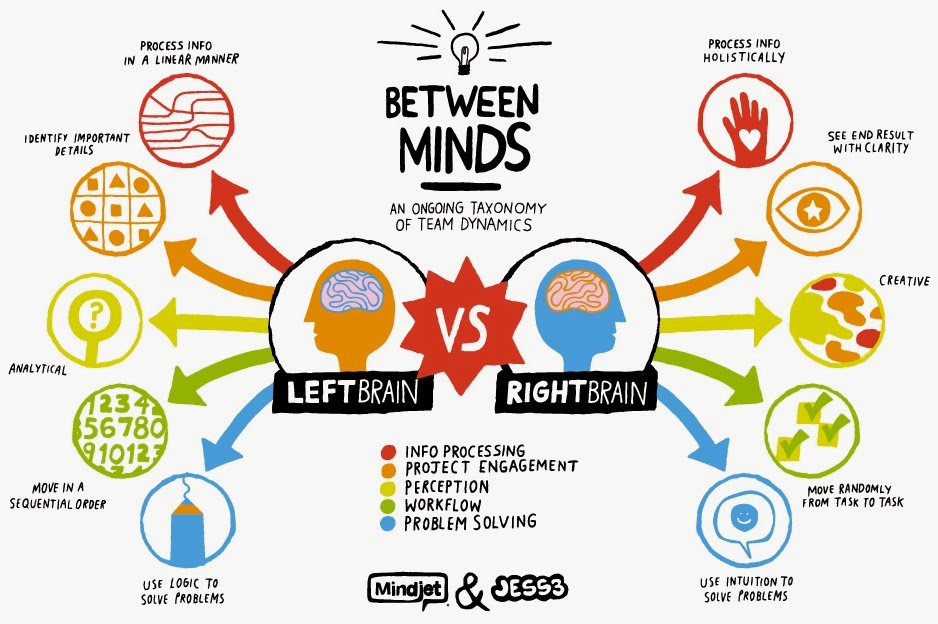 Left brain – right brain myth – science based medicine