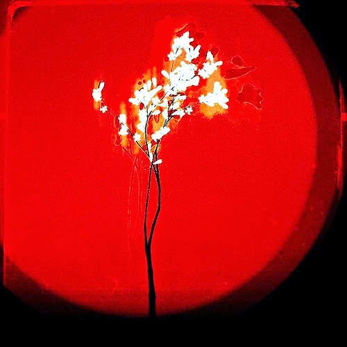 rencontre perte de poids