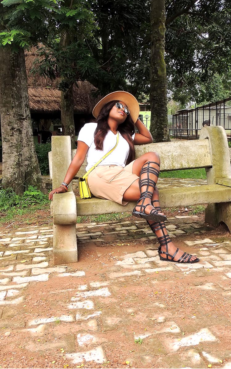 Pastor killed by lion in ibadan zoo image