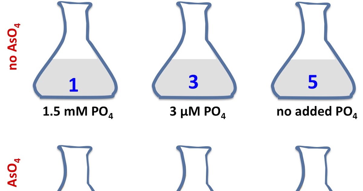 RRResearch Growth of GFAJ1 in 40 mM arsenate (not)