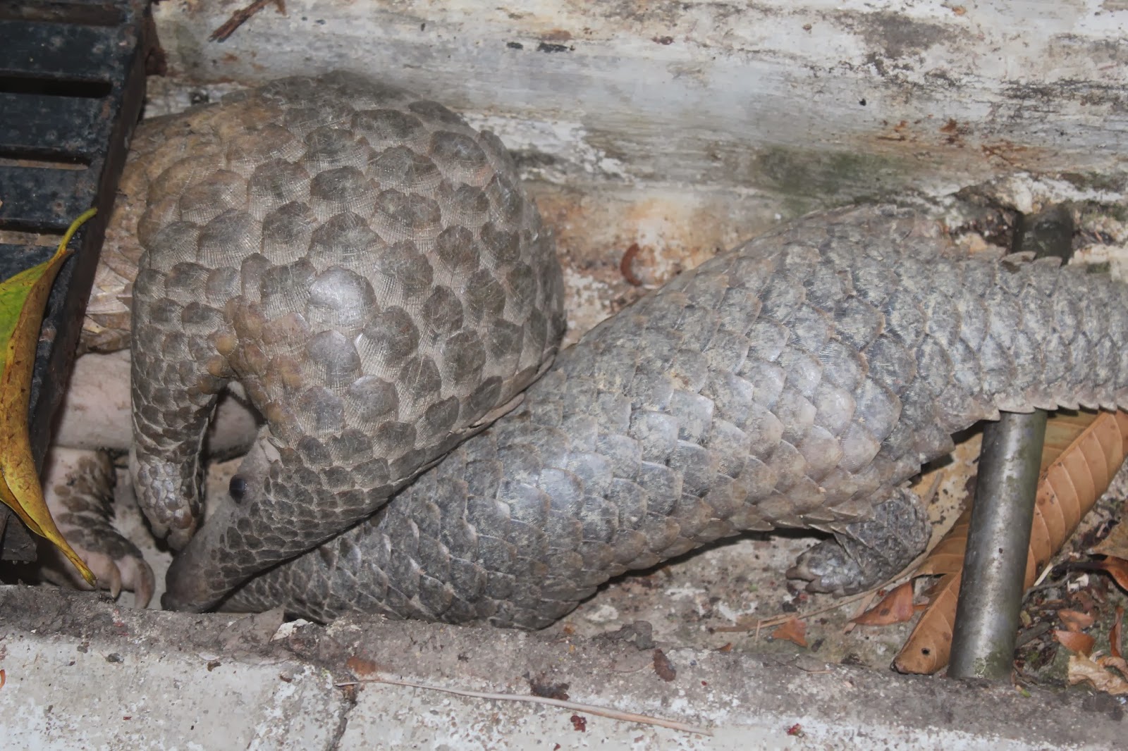 A Happy Mum Singapore Parenting Blog